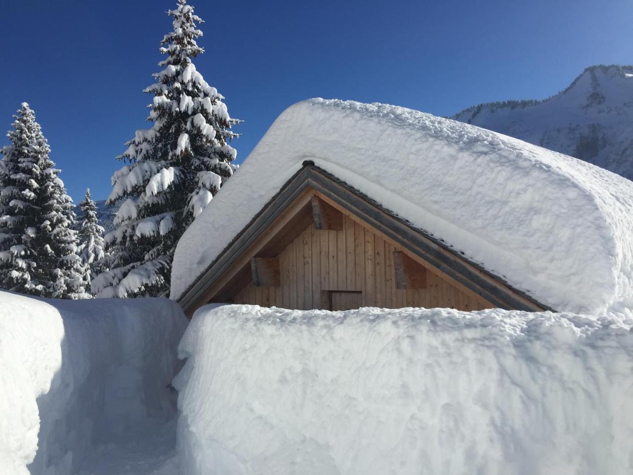 Feriendorf Walserland ดามุลส์ ภายนอก รูปภาพ